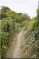 Coastal footpath at Rookwood in PO20 8NB
