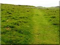 Path on top of Malham Cove leading to Langscar Gate in Malham