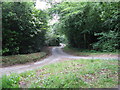 The north end of Buncton Lane in Cuckfield, Bolney & Ansty Ward