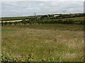 View across hay fields towards Rhiw Goch farm in LL65 4YF