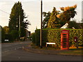 Colehill: postbox № BH21 127 and phone, Sandy Lane in BH21 2UL