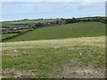 View  north-eastwards from drumlin 31 towards Ty'n Cae and Uwch y don in Llanfaethlu Community