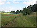 Footpath to Leaveland Wood in Leaveland