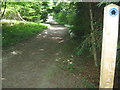 Bridleway in Badgin Wood in ME13 0PW