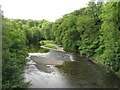 The River Nith, from Drumlanrig Bridge in DG3 4AG