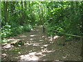 Easy Access Path in Perry Wood in ME13 9RP