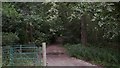 Footpath enters wood near Liphook in GU30 7PB