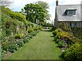 The upper garden, Trerice, Newlyn in TR8 4PQ