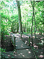 Poringland Wood - footbridge over a stream in NR14 7XW