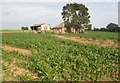 Farm buildings, near Poltimore in EX5 3AD