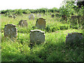 St Mary's church - churchyard in NR15 1WP