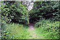 Path onto Jarn Heath in OX1 5EY