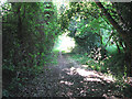 Path to Framingham Earl Lane in Yelverton