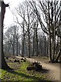 East Hoath Wood in ME8 0NZ