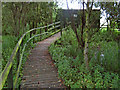 Bird hide in the wetlands, Cannington in TA5 2SU