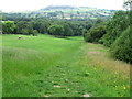 Footpath towards Royd House Wood in HD4 6UB