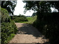 Winterborne Kingston, bridleways in DT11 9HD