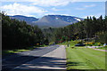 The Cairngorm road in Glen More in PH22 1QZ