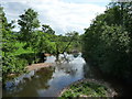 Uffculme : River Culm in EX15 3EB