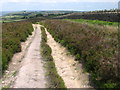 Footpath on Brow Moor in BD22 9SU