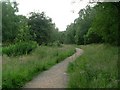 Path towards Mugdock Wood in G62 8EJ