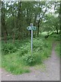 Path junction in Mugdock Country Park in G62 8EJ