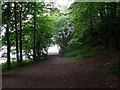 Wooded path by Mugdock Loch in G63 9ET