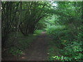 Bridleway in Kenneling Wood in TN27 0HG