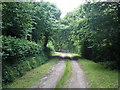 Farm Track, near Dommett Moor in TA20 3RG