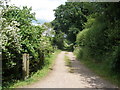Track, to Wheatlands Coppice in TA20 3RD