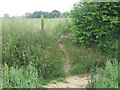 Footpath junction near Molash Church in CT4 8EY