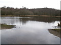 Little Bracebridge Pool, Sutton Park in B74 4TD