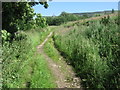 Footpath near Birchfield in HX7 8PH