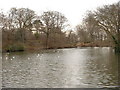 The Serpentine, Moor Park in PR2 8BU