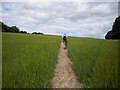 Footpath from Dunsmer toward Wendover in HP22 6QH
