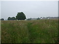 Public Footpath off Station Road Drighlington in BD11 1AT