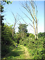 Boudica's Way - to Stoke Road in Caistor St. Edmund and Bixley