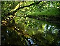 River Avon, Horsebrook Bridge in TQ10 9LY