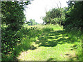 Boudica's Way - skirting Arminghall Wood in Caistor St. Edmund and Bixley