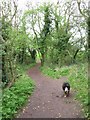 Footpath in the Woods, Weston Turville Reservoir in HP22 6AZ