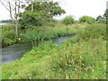 River Axe near Axe Bridge in EX13 7AS