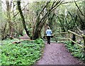 Path through Nature Reserve, Weston Turville Reservoir in HP22 6AZ