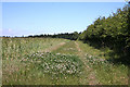 Footpath to Little Whelnetham in Little Whelnetham