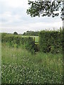 Stile on the Footpath to Lower Kinnerton in CH4 9LP