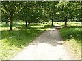Path in Wollaton Park in NG7 2QD