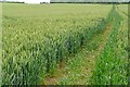 Path north of Kings Sutton in OX17 3RF
