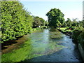 Upper Clatford - The River Anton in SP11 7LR