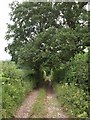 Footpath near Budleigh in TA3 7NZ