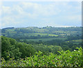 2009 : South from the top of Publow Hill in BS39 4LW