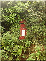 Thorncombe: postbox № TA20 505, School House in TA20 4PL